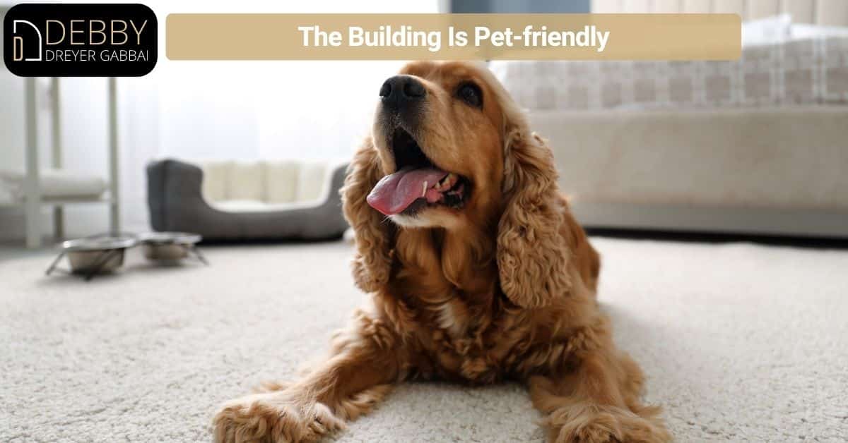 The Building Is Pet-friendly