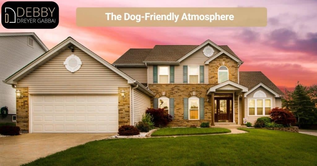 The Dog-Friendly Atmosphere