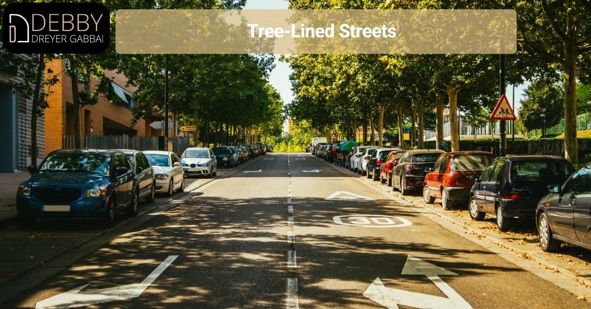 Tree-Lined Streets