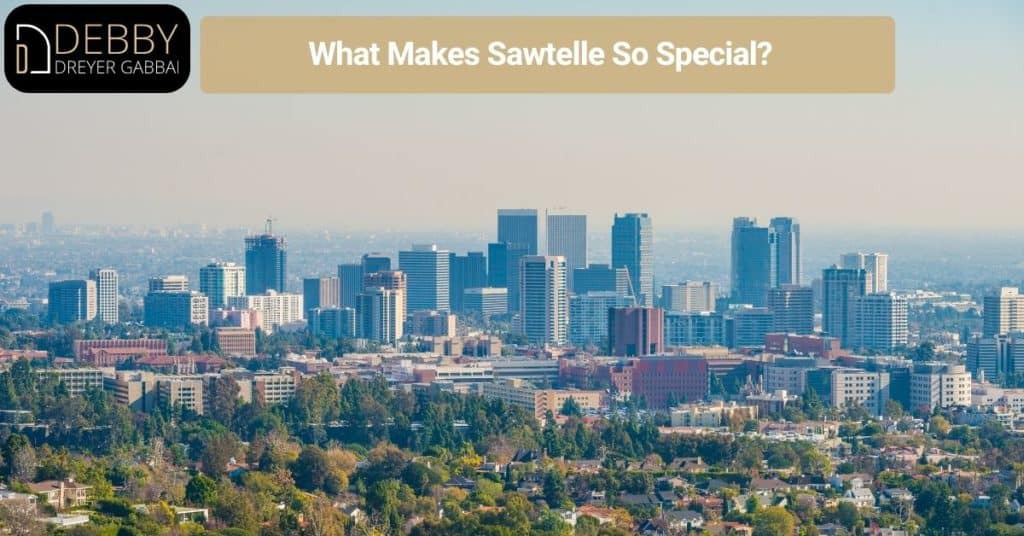 What Makes Sawtelle So Special